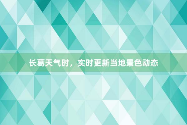 长葛天气时，实时更新当地景色动态