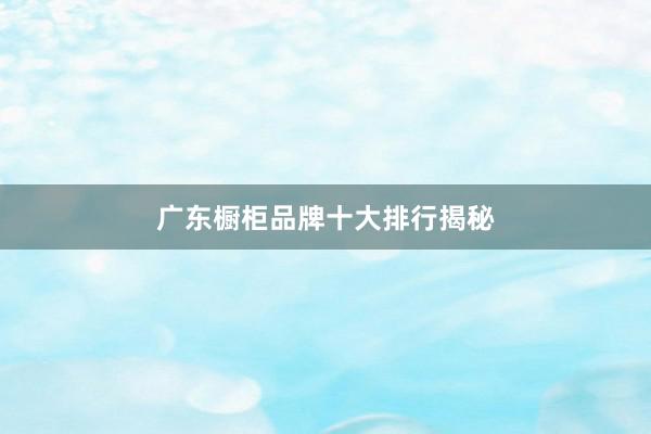 广东橱柜品牌十大排行揭秘